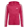 Adidas Adidas Designed To Move 3-Stripes Kapuzenjacke